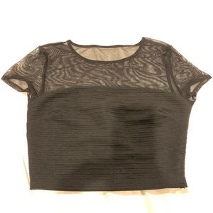 Black Mesh Crop Top